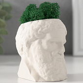 Кашпо бетонное Прометей со мхом, 6,5х5 см, белый, 10412081 Кашпо бетонное Прометей со мхом, 6,5х5 см, белый, 10412081