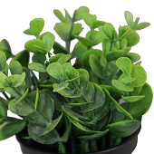  Искусственный цветок в горшке Ива бойда мини, 11х7 см, зелёный, 10697873 