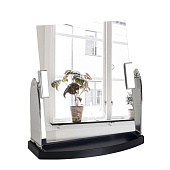 Зеркало настольное пластик Классика прямоуг одностор 17х19,5см серебро х 828418 Зеркало настольное пластик Классика прямоуг одностор 17х19,5см серебро х 828418