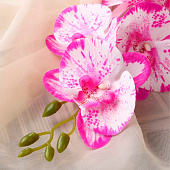 Цветы искусственные «Орхидея фаленопсис» премиум, 7?55 см, малиново-белые Цветы искусственные «Орхидея фаленопсис» премиум, 7?55 см, малиново-белые