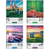 Тетрадь 80л. А4. BRAUBERG гребень, клетка, обложка твердая, Nature, 404054 Тетрадь 80л. А4. BRAUBERG гребень, клетка, обложка твердая, Nature, 404054