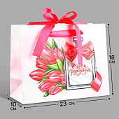 Пакет ламинированный с лентой «С Днём рождения», MS 23 х 10 х 18 см 10536325 Пакет ламинированный с лентой «С Днём рождения», MS 23 х 10 х 18 см 10536325