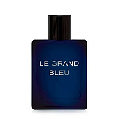  Туалетная вода Dilis Parfum Le Grand Bleu мужская, 100 мл 