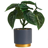 Искусственный цветок в горшке Алоказия галант 7,5х15 см 10084569 Искусственный цветок в горшке Алоказия галант 7,5х15 см 10084569