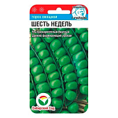  Горох Шесть недель, СибСад 