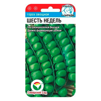 Горох Шесть недель, СибСад Горох Шесть недель, СибСад