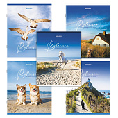 Тетрадь 80л. А5. Brauberg, скоба, клетка, обложка картон, By The Sea, 404410 Тетрадь 80л. А5. Brauberg, скоба, клетка, обложка картон, By The Sea, 404410