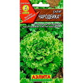  Салат Чародейка Аэлита 