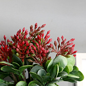 Искусственный цветок в горшке Сенполия галант 14х23 см, микс 9222725 Искусственный цветок в горшке Сенполия галант 14х23 см, микс 9222725