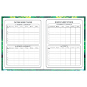 Дневник 1-4 класс 48л, твердый, BRAUBERG, глянцевая ламинация, с подсказом, Котик и арбузик, 107153 Дневник 1-4 класс 48л, твердый, BRAUBERG, глянцевая ламинация, с подсказом, Котик и арбузик, 107153