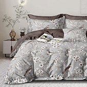  Комплект постельного белья 1,5 спальный Cleo HOME Поплин Pure Cotton 15/011-PCE 