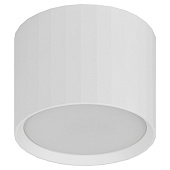 Светильник настенно-потолочный спот ЭРА OL39 WH под GX53 IP20 белый Светильник настенно-потолочный спот ЭРА OL39 WH под GX53 IP20 белый