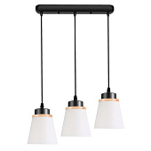 Светильник подвесной 30136/3L BK WT+WD 40Вт E27 /ЭкономСвет