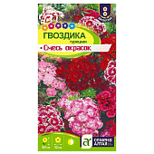 Гвоздика Турецкая Смесь окрасок/Сем Алт/цп 0,2 гр. Гвоздика Турецкая Смесь окрасок/Сем Алт/цп 0,2 гр.