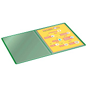 Папка пластиковая 20 прозрачная вкладышей А4 500мкм BURO зеленый, ECB20green/1497134 Папка пластиковая 20 прозрачная вкладышей А4 500мкм BURO зеленый, ECB20green/1497134