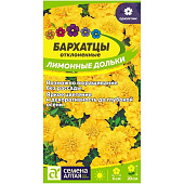Бархатцы Лимонные Дольки махровые СА Бархатцы Лимонные Дольки махровые СА