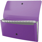 Папка на кнопке 12 отд. 260х135х25мм Check size 700мкм ErichKrause Diagonal Vivid  ассорти 50420