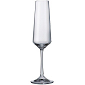 Набор бокалов для шампанского Crystal Bohemia Corvus 160 мл (2 шт) БСС0332 Набор бокалов для шампанского Crystal Bohemia Corvus 160 мл (2 шт) БСС0332