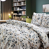  Комплект постельного белья 1,5 спальный Cleo Art Color полисатин 15/109-AC 
