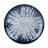 Тарелка 26 см Blue star 6927 Тарелка 26 см Blue star 6927