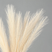 Сухоцветы искусственные «Пампасная трава», 43 см, 3 шт., бежевый 10629672 Сухоцветы искусственные «Пампасная трава», 43 см, 3 шт., бежевый 10629672