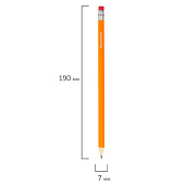  Карандаши чернографитные простые с ластиком HB, ВЫГОДНАЯ УПАКОВКА КОМПЛЕКТ 12 штук, BRAUBERG, 180635 