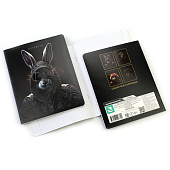 Тетрадь А5 48л скрепка клетка "S" Крутые пацаны, твин, конгрев, 023799 Тетрадь А5 48л скрепка клетка "S" Крутые пацаны, твин, конгрев, 023799