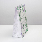 Пакет ламинированный «Best wishes», MS 18 х 23 х 8 см, 6582625 Пакет ламинированный «Best wishes», MS 18 х 23 х 8 см, 6582625