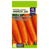 Морковь НИИОХ 336 СА Морковь НИИОХ 336 СА