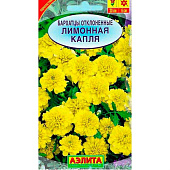 Бархатцы Лимонная капля отклоненные , Аэлита Бархатцы Лимонная капля отклоненные , Аэлита