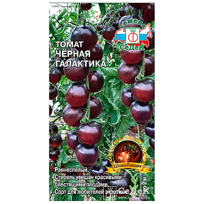  Томат Черная Галактика, Седек 
