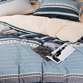  Комплект постельного белья Cleo тенсель Soft Tencel дуэт 41/1004-TS 