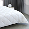  Одеяло 172х205 Эвкалиптовое волокно Comfort 