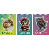 Блокнот А6, 40 л, Котики бывают разными, клетка, 40Б6В1гр Блокнот А6, 40 л, Котики бывают разными, клетка, 40Б6В1гр