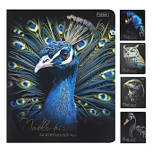 Тетрадь 48л. А5 Благородные птицы, клетка, скрепка, скругленные углы, 48Т5лофВ1 Тетрадь 48л. А5 Благородные птицы, клетка, скрепка, скругленные углы, 48Т5лофВ1