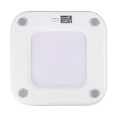 Весы напольн 180кг WHITE CT-2442 Весы напольн 180кг WHITE CT-2442
