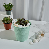 Декоративные Ракушки 150г, белые INBLOOM 173-005 Декоративные Ракушки 150г, белые INBLOOM 173-005