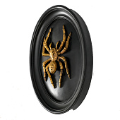 Панно интерьерное Паук, 19х4х24 см, полистоун, чёрный с золотом, 10203946 Панно интерьерное Паук, 19х4х24 см, полистоун, чёрный с золотом, 10203946