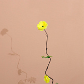  Интерьерный декор из бамбука, цветы пластик 200 см жёлтый   7779954 