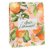 Пакет ламинированный Ярких моментов, ML 21 х 25 х 8 см, 10084298 Пакет ламинированный Ярких моментов, ML 21 х 25 х 8 см, 10084298