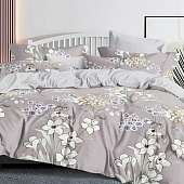  Комплект постельного белья 1,5 спальный Cleo Home Pure Cotton поплин 15/189-PC/CL 
