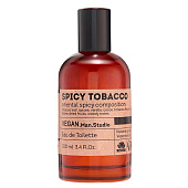 Туалетная вода Spicy Tobacco мужская, 100 мл Delta Parfum