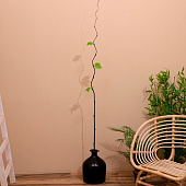 Интерьерный декор из бамбука, листья пластик 200 см зелёный 7779965 Интерьерный декор из бамбука, листья пластик 200 см зелёный 7779965