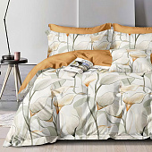 Комплект постельного белья 1,5 спальный Cleo Home Pure Cotton поплин 15/010-PCE Комплект постельного белья 1,5 спальный Cleo Home Pure Cotton поплин 15/010-PCE