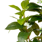  Дерево в цементном горшке с подставкой из МДФ, Д140 Ш140 В790 