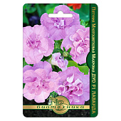 Петуния Дуо Лаванда махр. F1, ЗС Петуния Дуо Лаванда махр. F1, ЗС