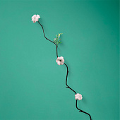 Интерьерный декор из бамбука, цветы пластик 200 см белый 7779960 Интерьерный декор из бамбука, цветы пластик 200 см белый 7779960