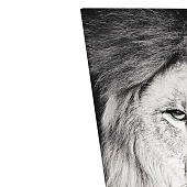 Картина стекло AG 40-62 Картина стекло AG 40-62