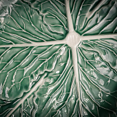 Блюдо овальное 37,5х26,3 см Cabbage Сasa di Fortuna керамика CDF CB10 Блюдо овальное 37,5х26,3 см Cabbage Сasa di Fortuna керамика CDF CB10