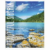 Тетрадь 48л. А5. Brauberg, скоба, линия, обложка картон, микс, 403040 Тетрадь 48л. А5. Brauberg, скоба, линия, обложка картон, микс, 403040